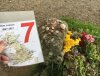 12 - Jays Grave.JPG