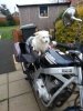 sweety_on_the_GS500.jpg