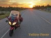 Yellow Fever 2.jpg