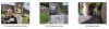 09 9th day White Hart RTE.jpg