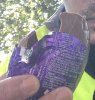 choc_egg.jpg