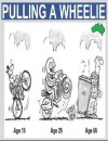 pulling a wheelie.jpg
