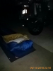 1531700563732.png