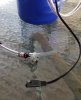 20180725_125424.jpg