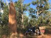 A rather large anthill.jpg