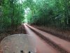 The road towards the tip.jpg