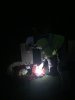 IMG-20181111-WA0009.jpg