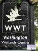 27_Washington(1).jpg