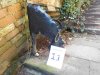 BBT 2020 07H Donkey Bench.JPG