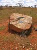 NetallieHill26Sep2020-2.jpg