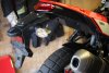tail tidy 2.JPG