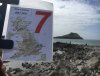 03 Worms Head.JPG