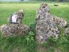 48 Rollright Stones.JPG