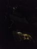 IMG_20210621_010747474.jpg