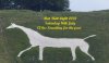 Cherhill_White_Horse_Juli_2015,3.jpg