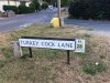 43 Turkey Cock Lane.jpg
