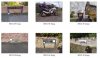 BBt22 49 day 14.jpg