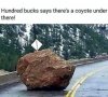 8ABC039E-3039-4C60-B879-DC7D8ED5B073.jpeg
